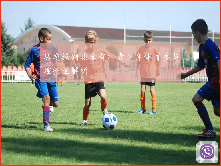 从学校到俱乐部：青少年体育参与途径全解析
